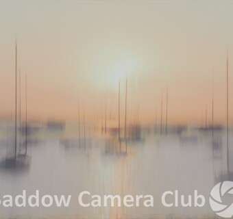 "Morning Reverie" by Tracy - POTY Image of the Night, November 2025 - Judged by David Steel "Morning Reverie" by Tracy - POTY Image of the Night, November 2025 - Judged by David Steel