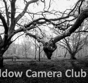 "An Ancient Embrace" by Jon - POTY Image of the Night, March 2025 - Judged by Caroline Preece "An Ancient Embrace" by Jon - POTY Image of the Night, March 2025 - Judged by Caroline Preece