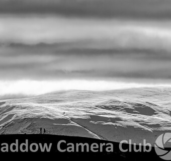 "Walking on the Edge" by Paul C - POTY Image of the Night - January 2025 - Judged by Scott Johnson "Walking on the Edge" by Paul C - POTY Image of the Night - January 2025 - Judged by Scott Johnson